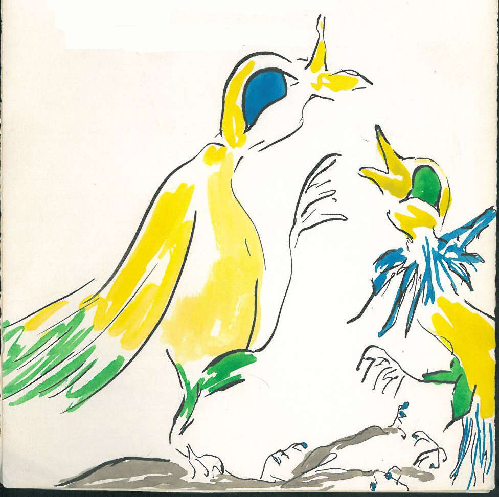 Two yellow birds a drawing by Barbara Fisher