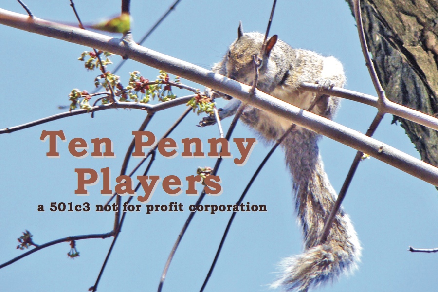 squirrel with bushy tail holds onto a tree branch while reaching out to red buds