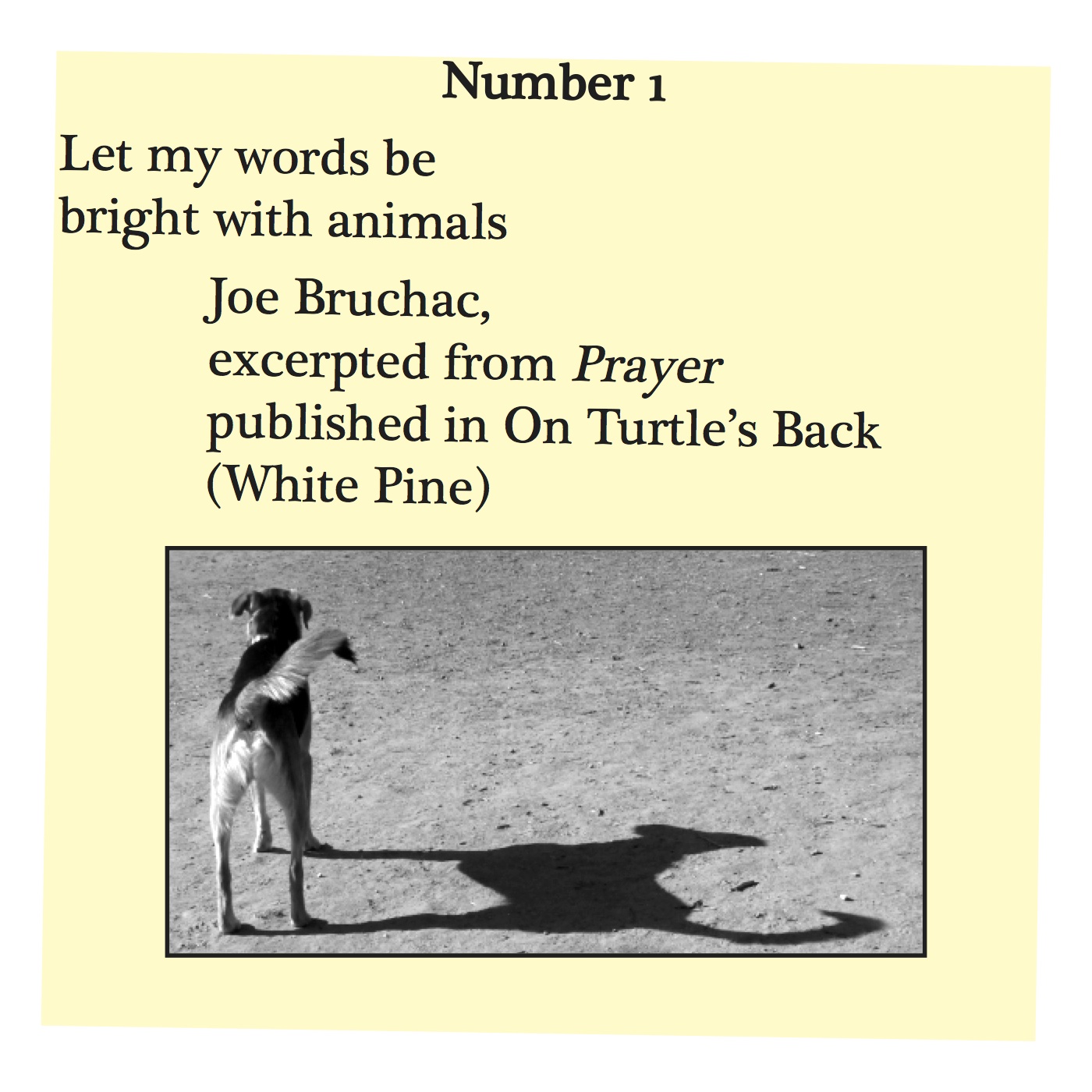 Let my words be bright with animals