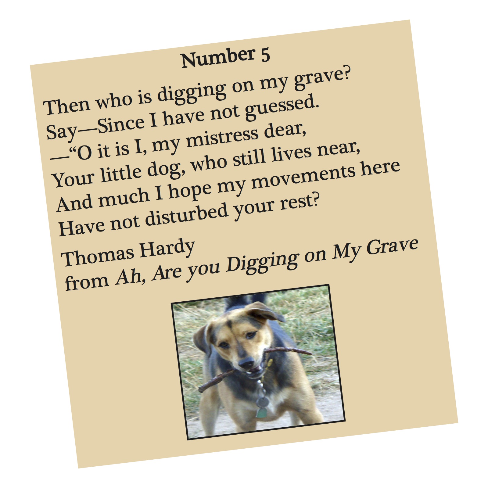 Then who is digging on my grave.