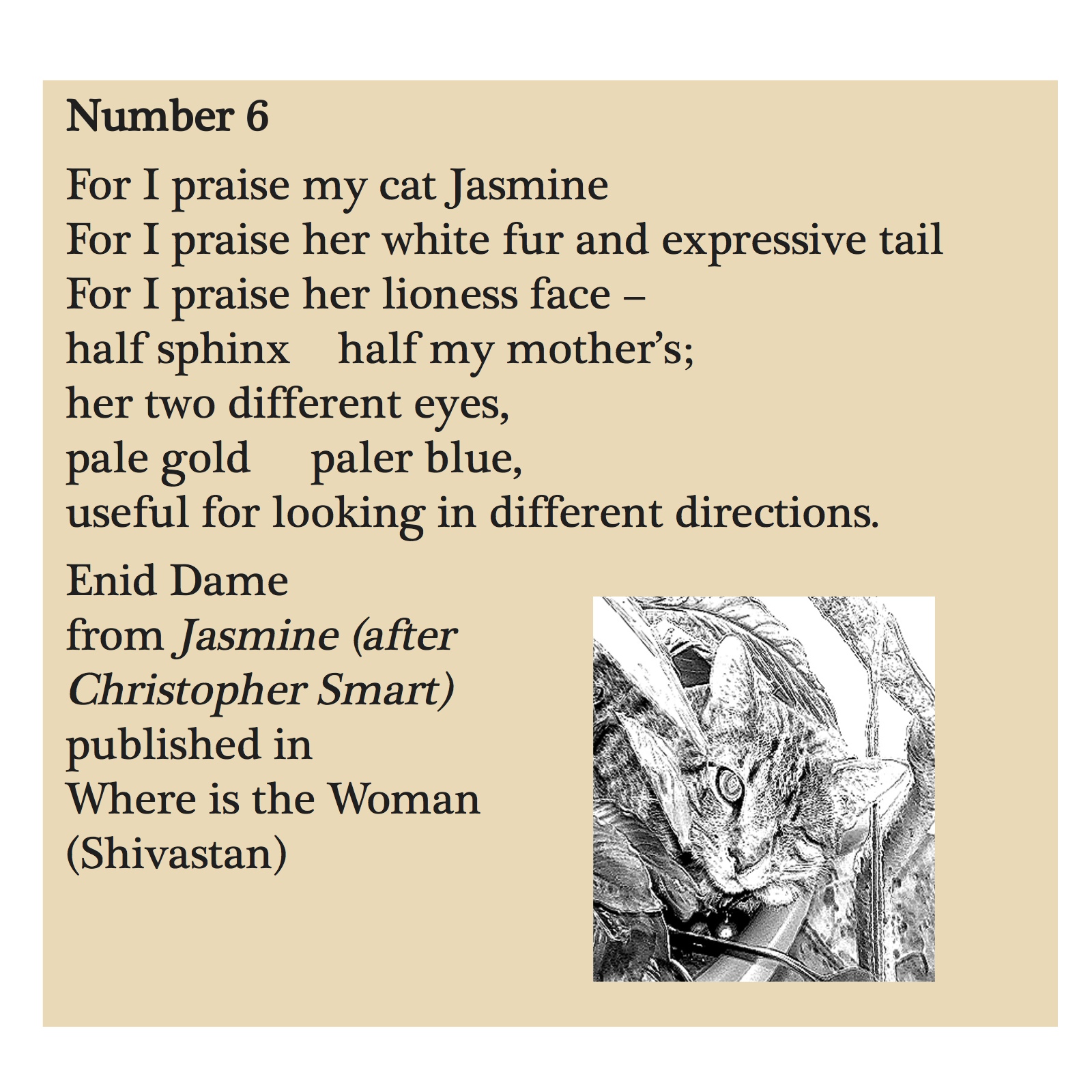 For I praise my cat Jasmine