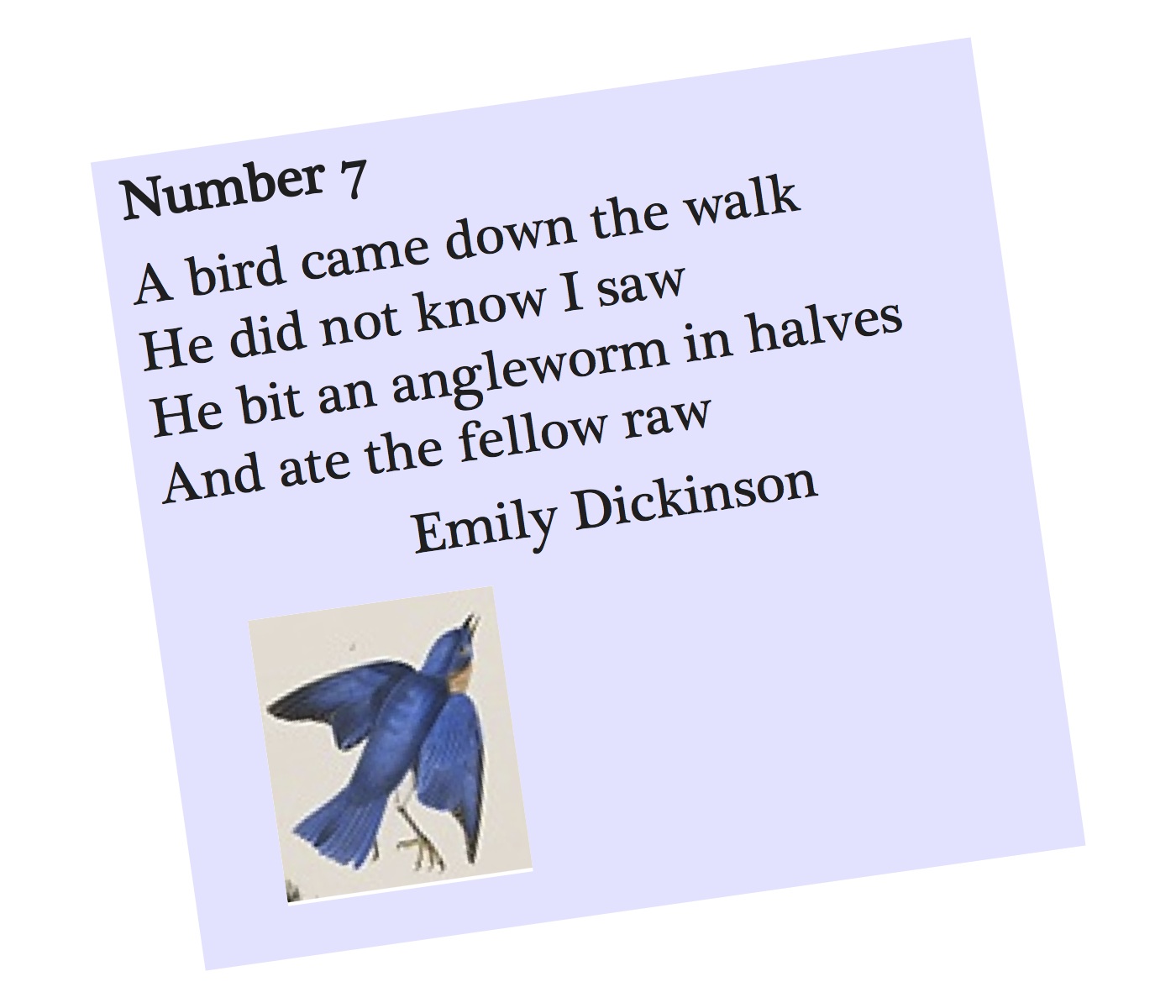A bird came down the walk