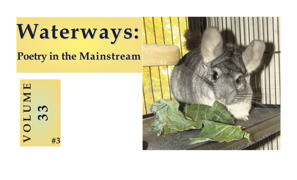 Number three - Chinchilla