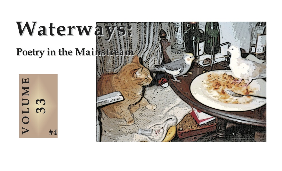 number 4 -- cat and birds on dining table