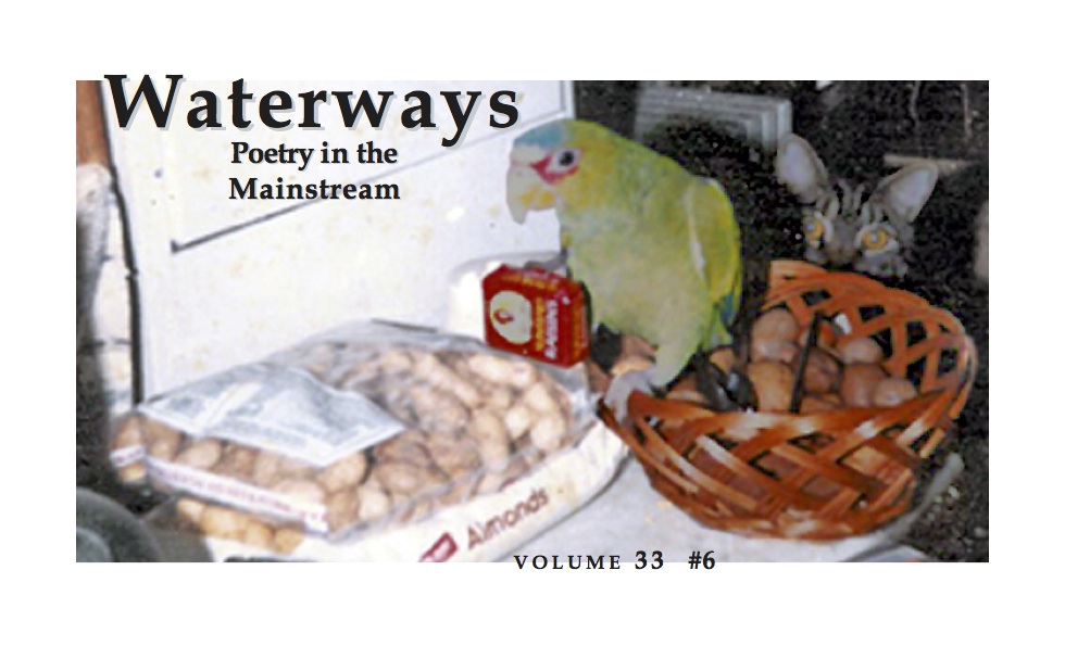number six - parrot and a box of raisins