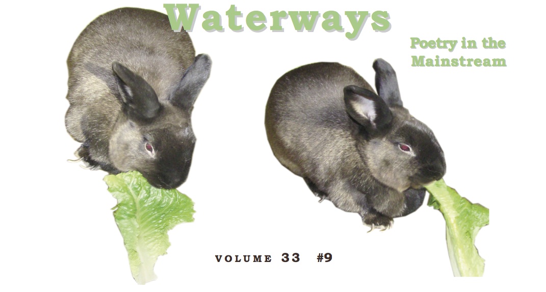 number nine - rabbits
