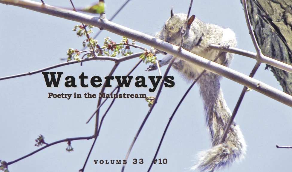 number ten - squirrel on a branch