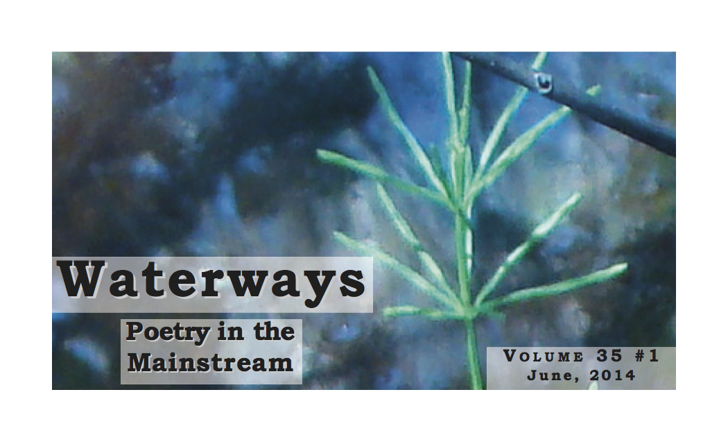 Volume 35 number 1  June 2014