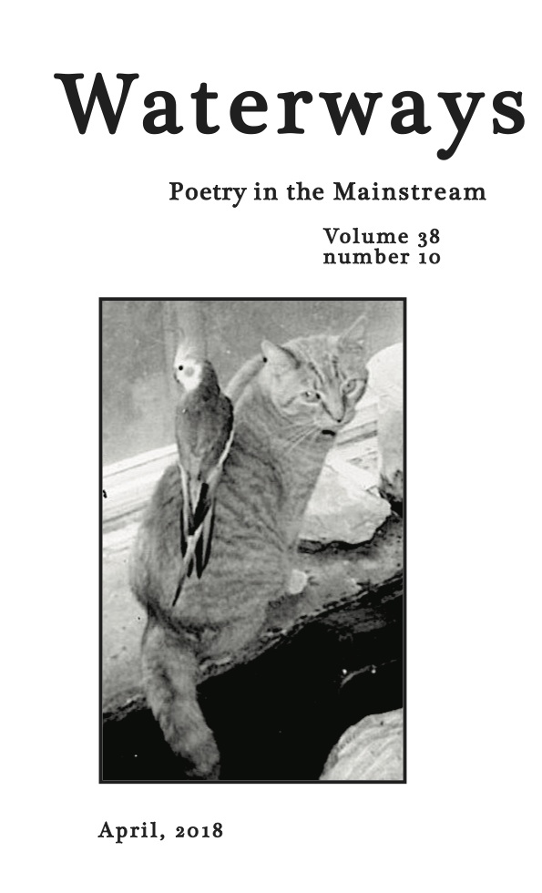cover to issue 10 cockatiel perched on a cat's shoulder