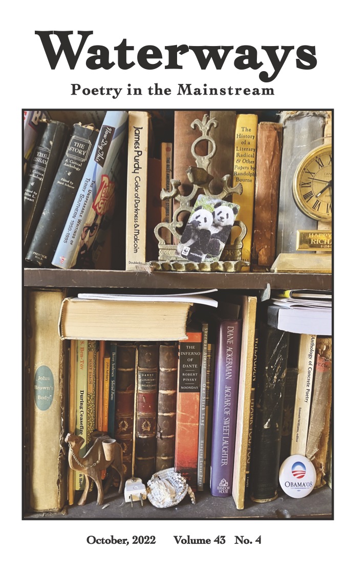 Cover for October shows two shelves of a bookcase showing the spines of old and new books in various conditions.  Among the authors are Terry Southern, James Purdy, Randolph Bourne, Dante and Diane Ackerman.  There is a small photo of two pandas, a small sculpture of a camel and an Obama '08 button