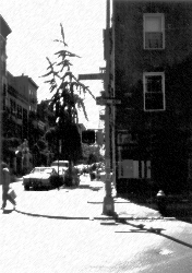 bleecker.pct